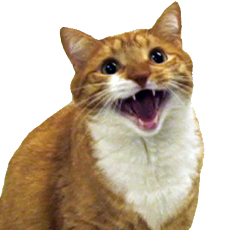 Angry Cat Free PNG Image | PNG Arts