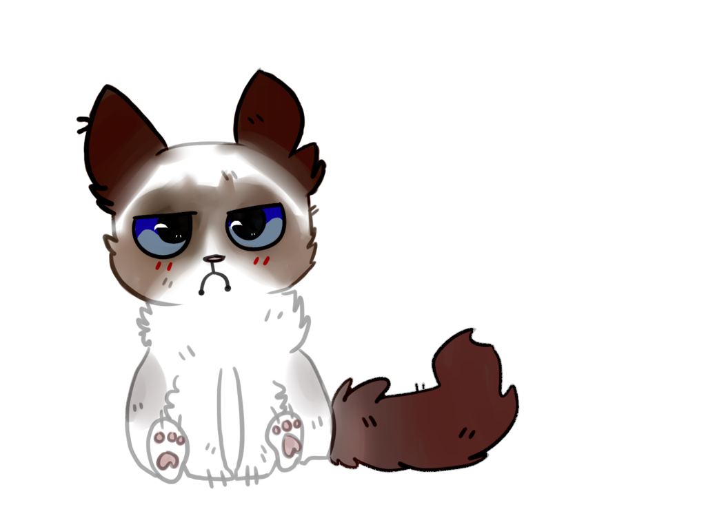Angry Cat PNG Free Download