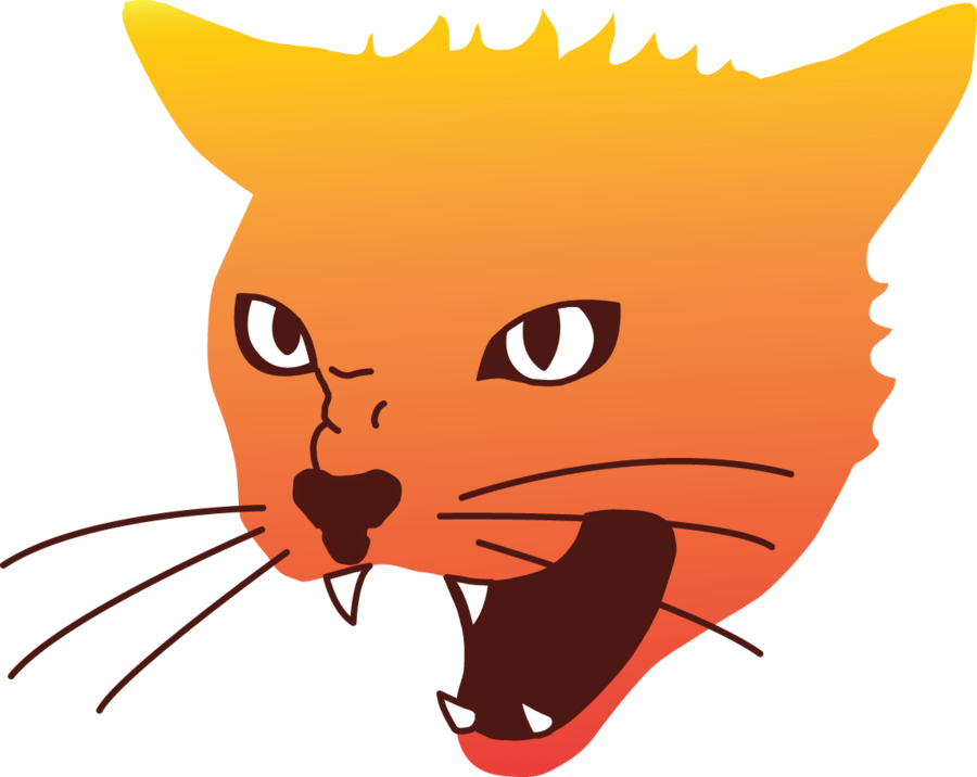 Angry Cat PNG-Bild
