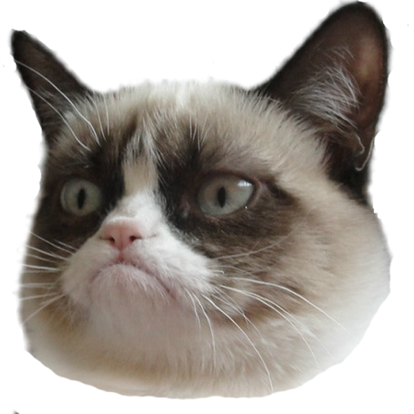 Angry Cat PNG Pic