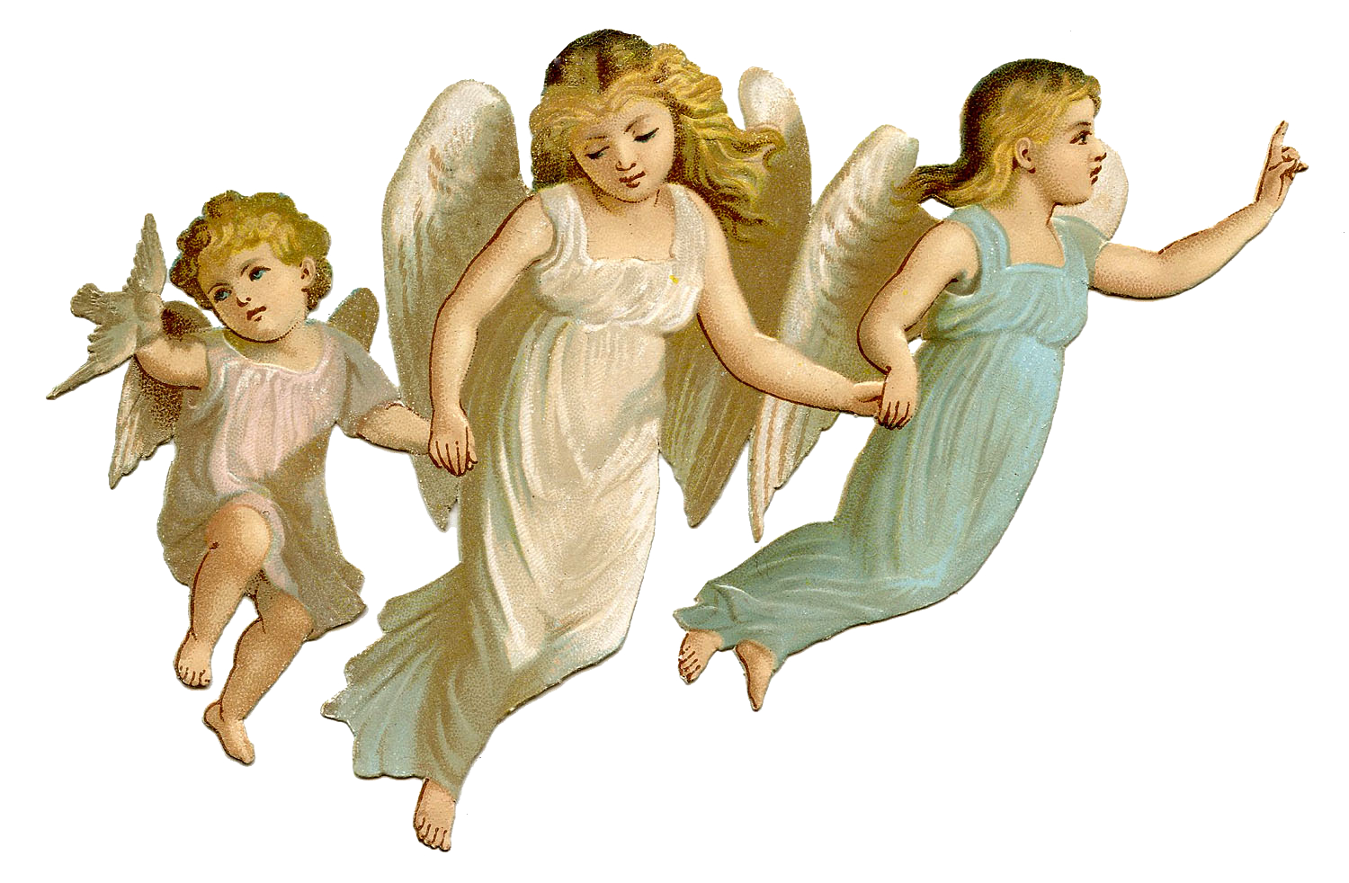 Baby Angel PNG Pic