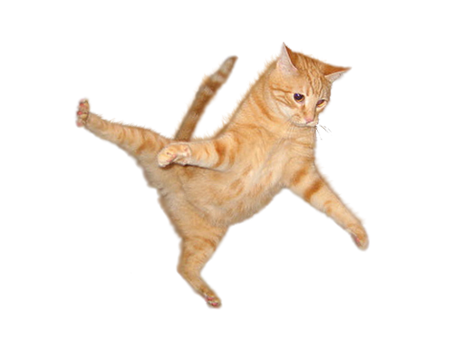 Baby Cat PNG Background Image