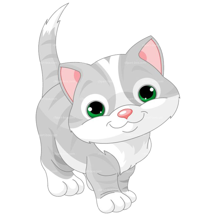 Baby Cat Transparent Image