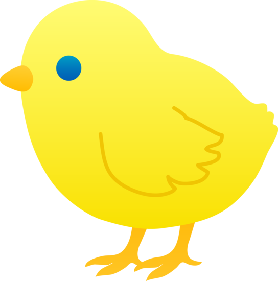 Baby Chicken PNG Pic