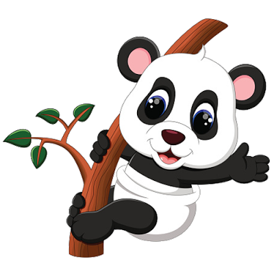 Foto del PNG del panda del bambino