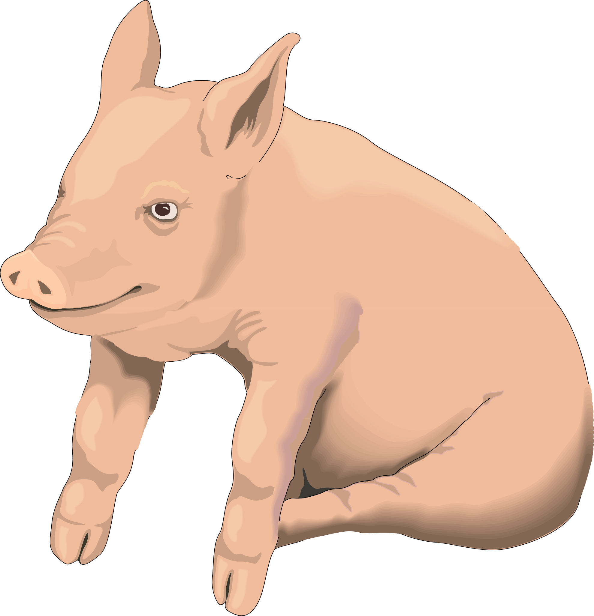 Imagem de fundo PNG de porco para bebê