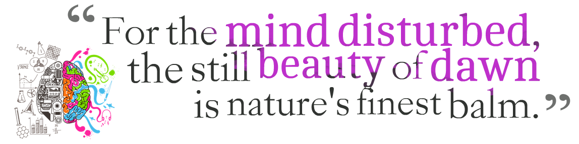 Beauty Quotes PNG Photo