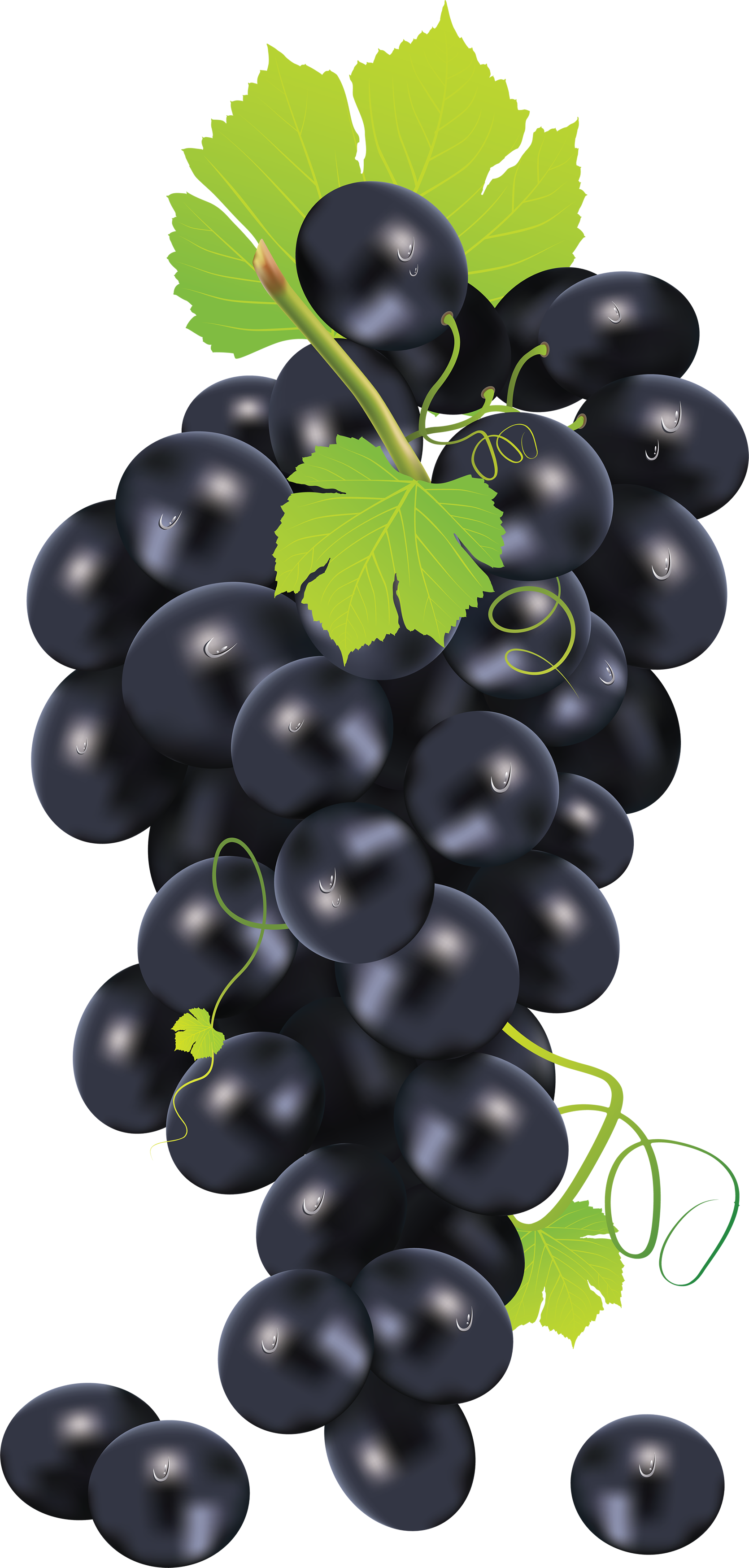 Черный виноград PNG Image