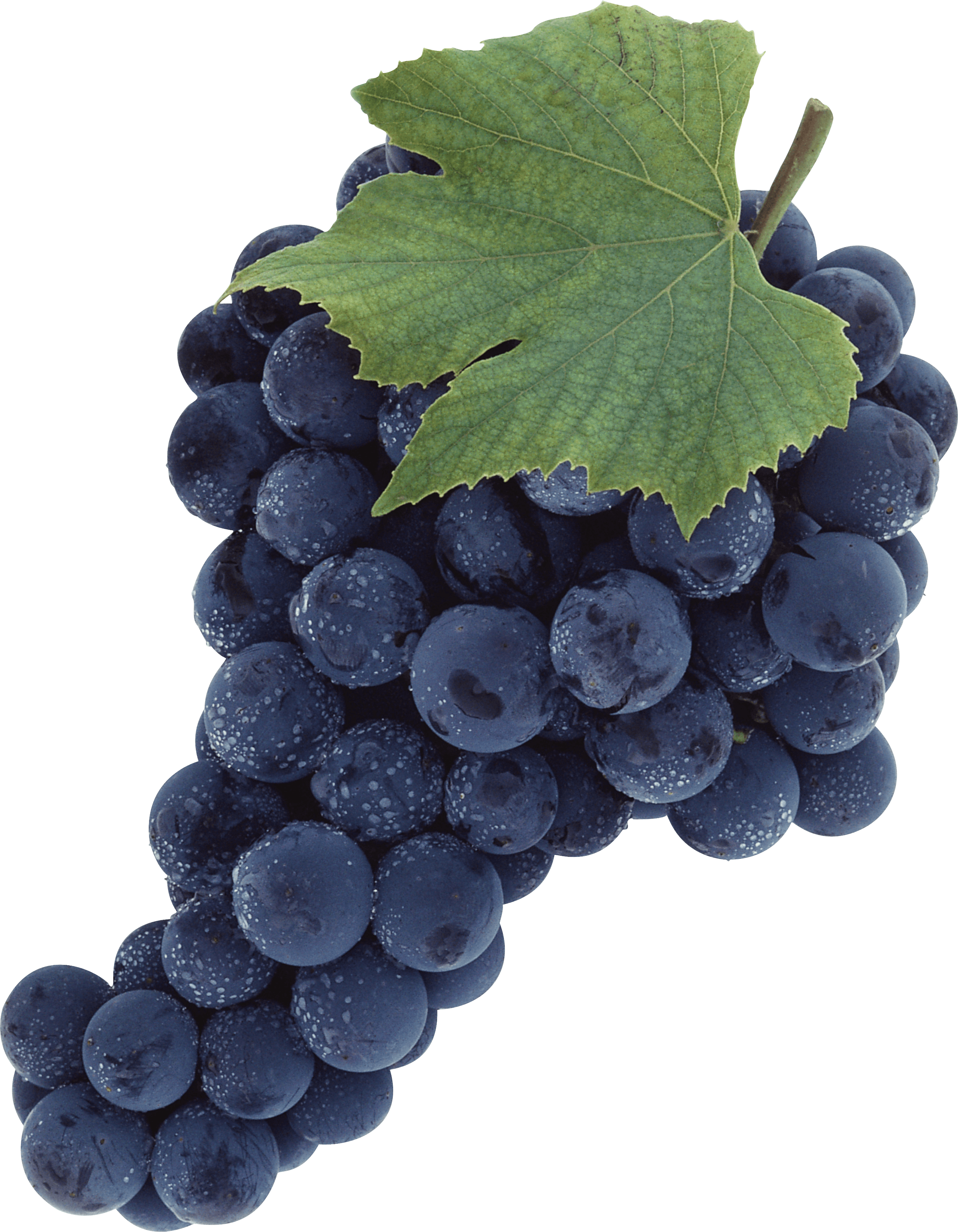 Черный виноград PNG прозрачный образ