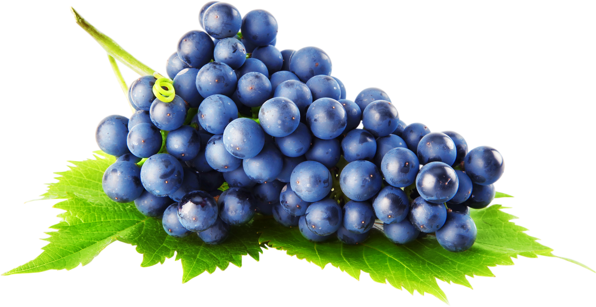Imagem transparente de uvas pretas
