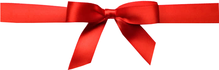 Bow PNG Photo