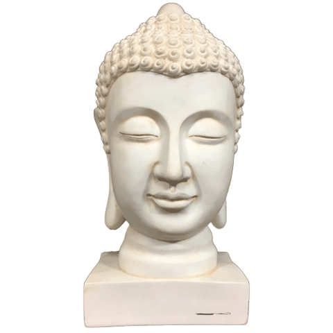 Buddha rosto transparente fundo PNG