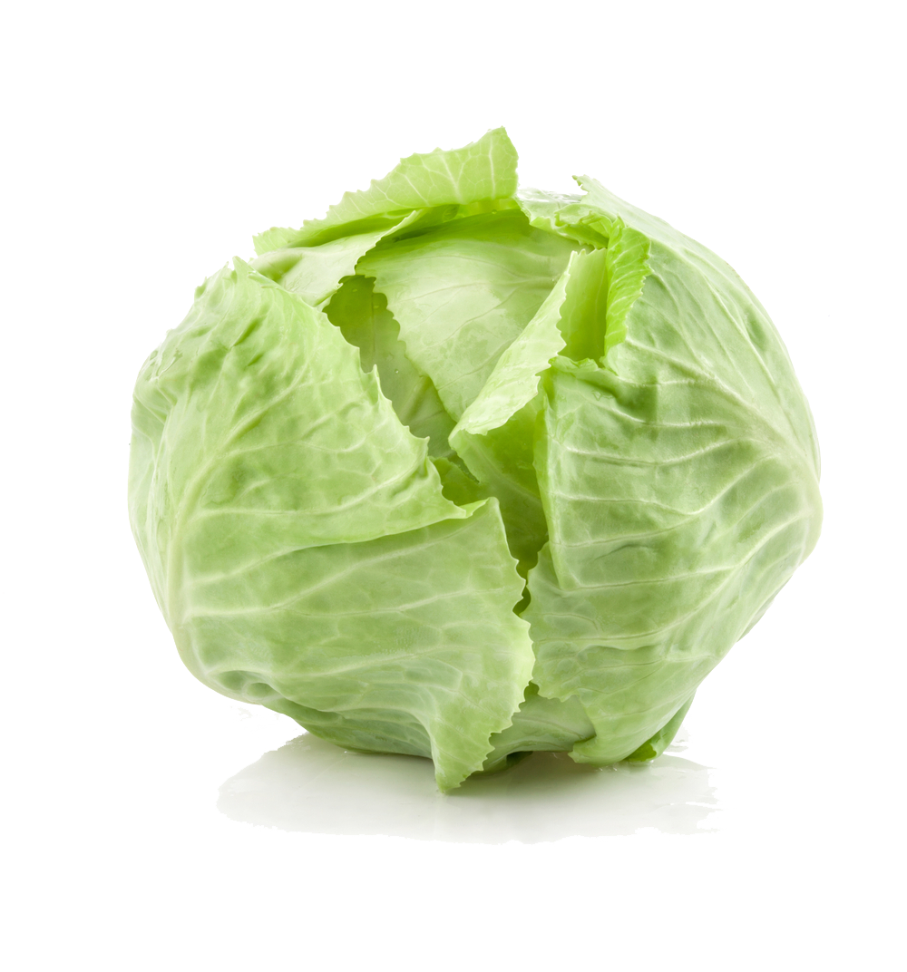 Cabbage PNG Background Image