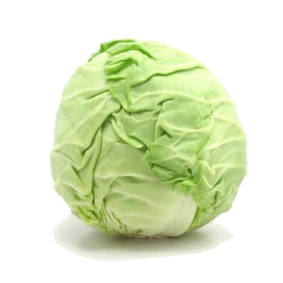 Cabbage PNG Image Background