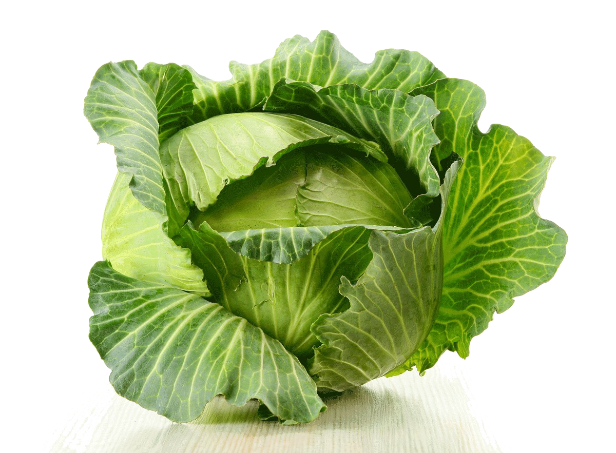 Cabbage PNG Image