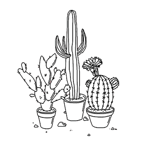 Imagen PNG de cactus con fondo Transparente