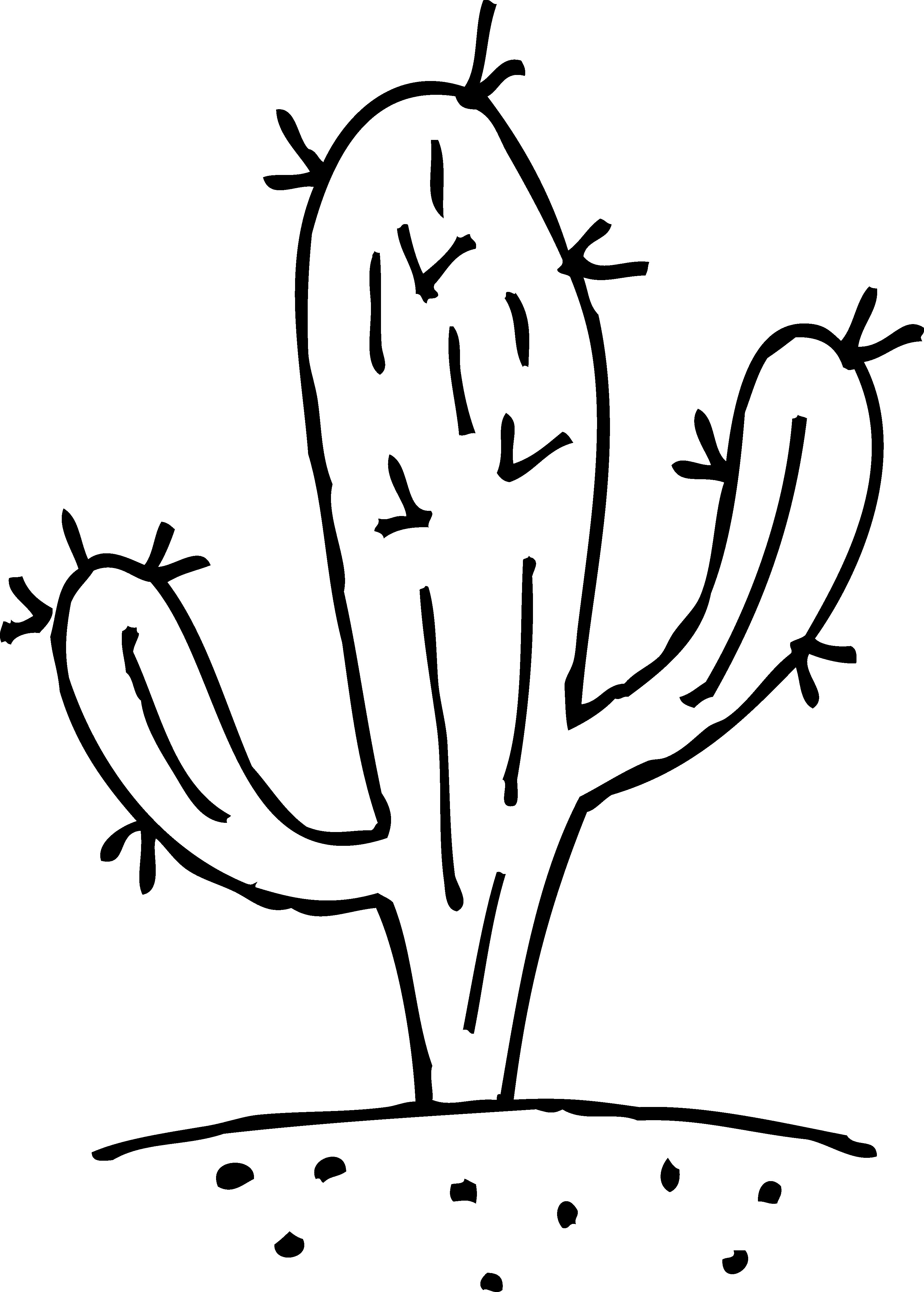 Cactus fond Transparent PNG