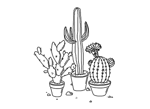 Imagens transparentes cactus