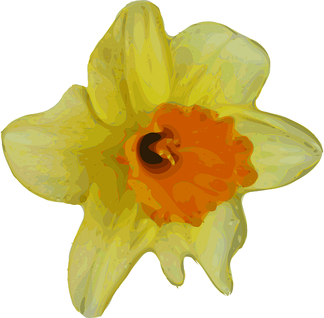 Imagen PNG de la flor de narciso