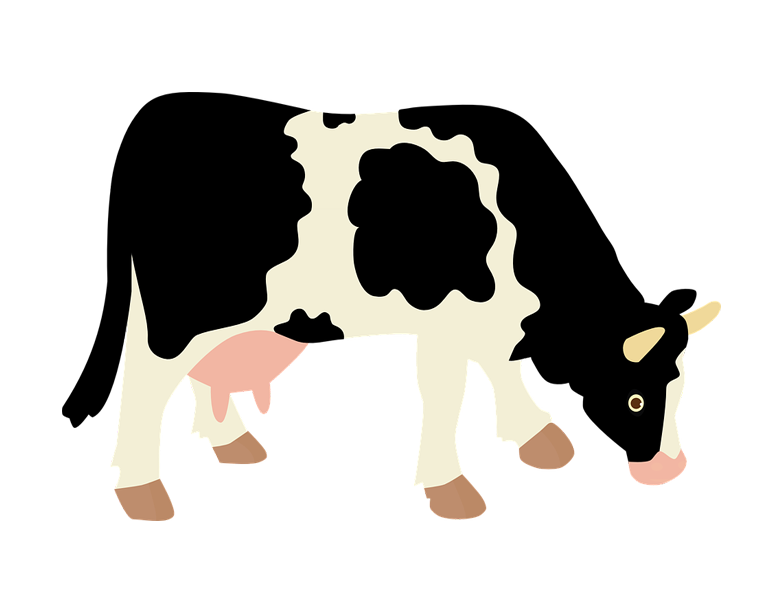 Image du PNG de vache laitière