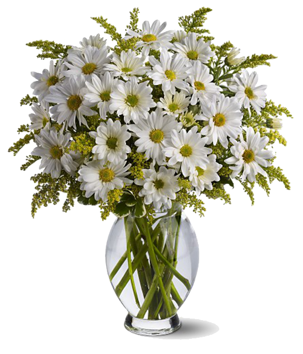 Daisy Bouquet PNG Download Image
