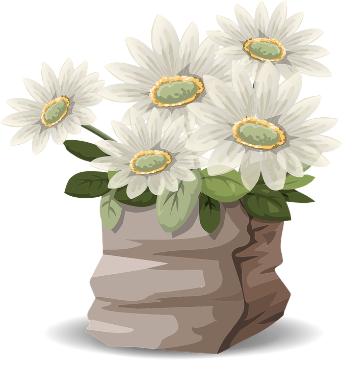 Daisy Bouquet PNG High-Quality Image