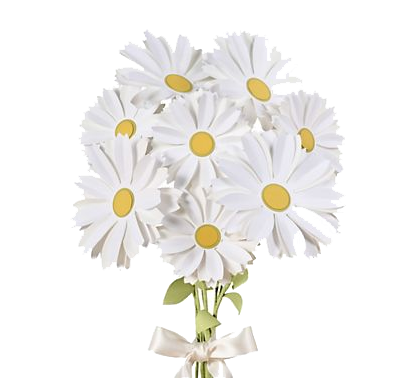 Margarida bouquet PNG Pic