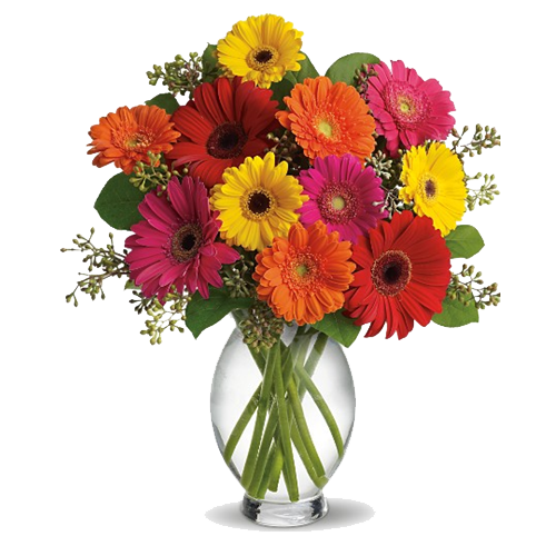 Daisy Bouquet PNG Image