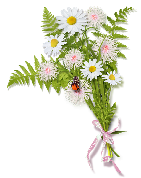 Bouquet daisy Gambar Transparan
