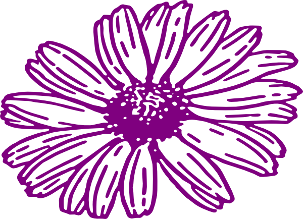 Daisy Purple PNG Download Bild
