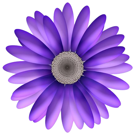 Daisy Purple PNG Image Background