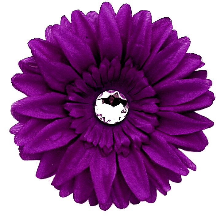 Image PNG pourpre de daisy avec fond Transparent