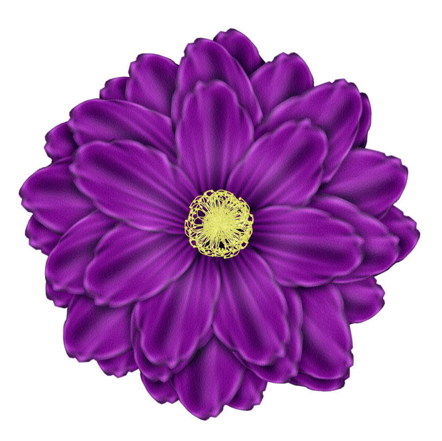 Daisy Purple Transparent Image
