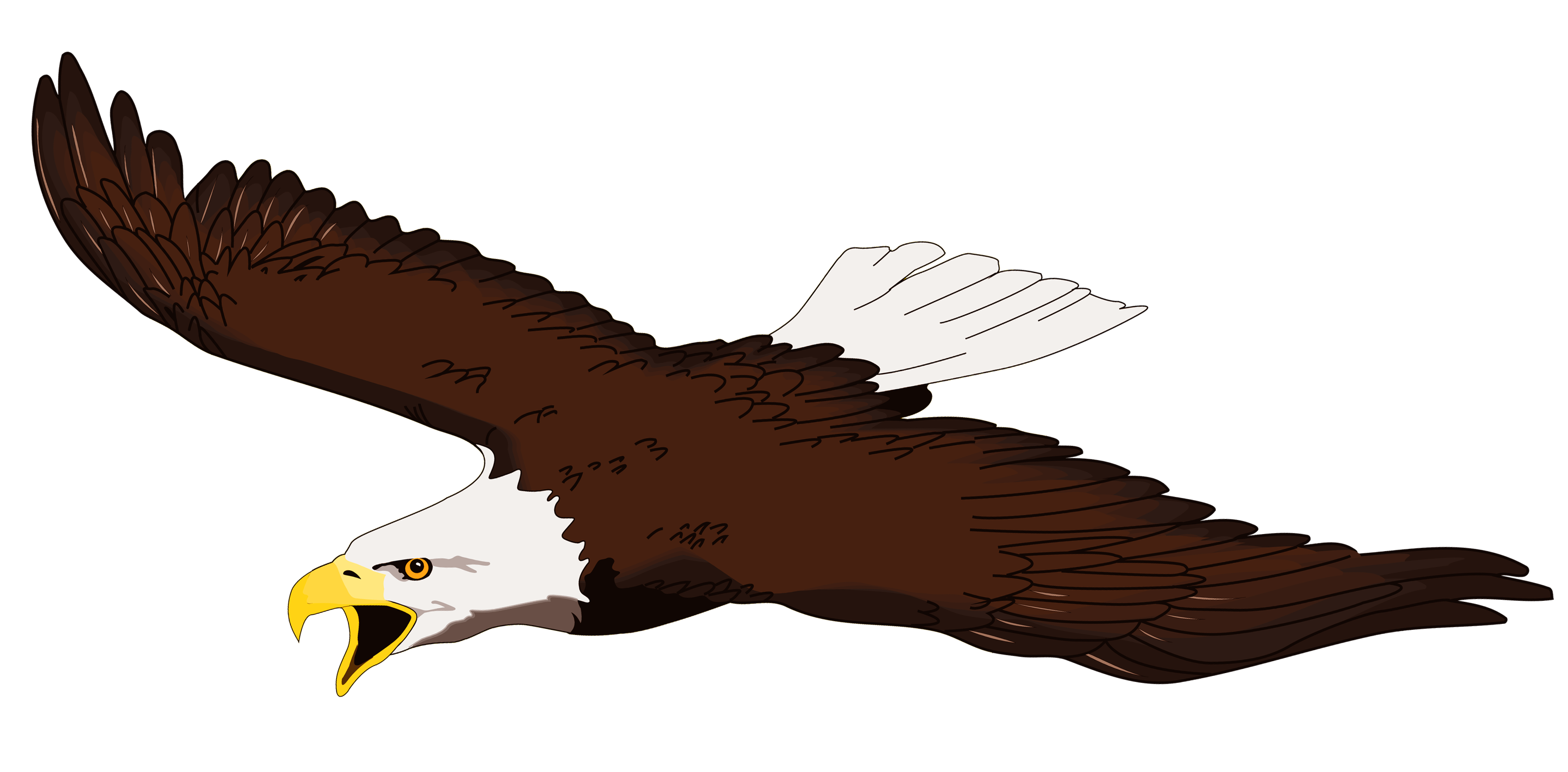 Орел летающий PNG высококачественный образ