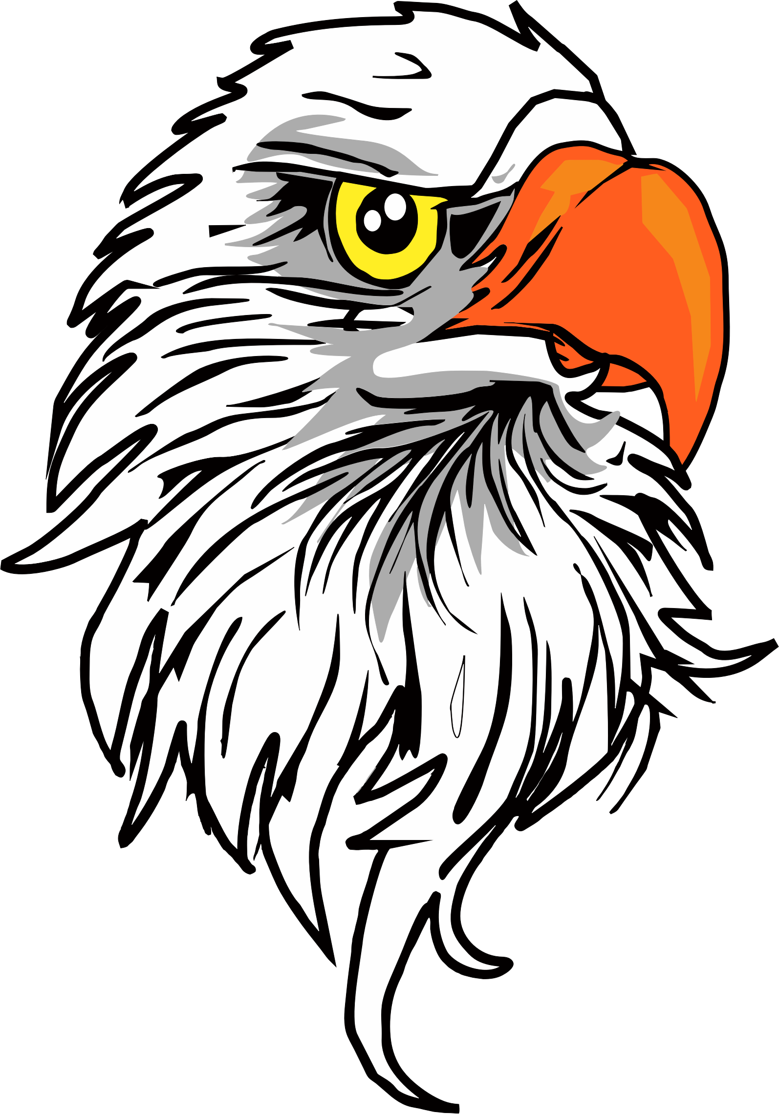 Cabeza de águila PNG