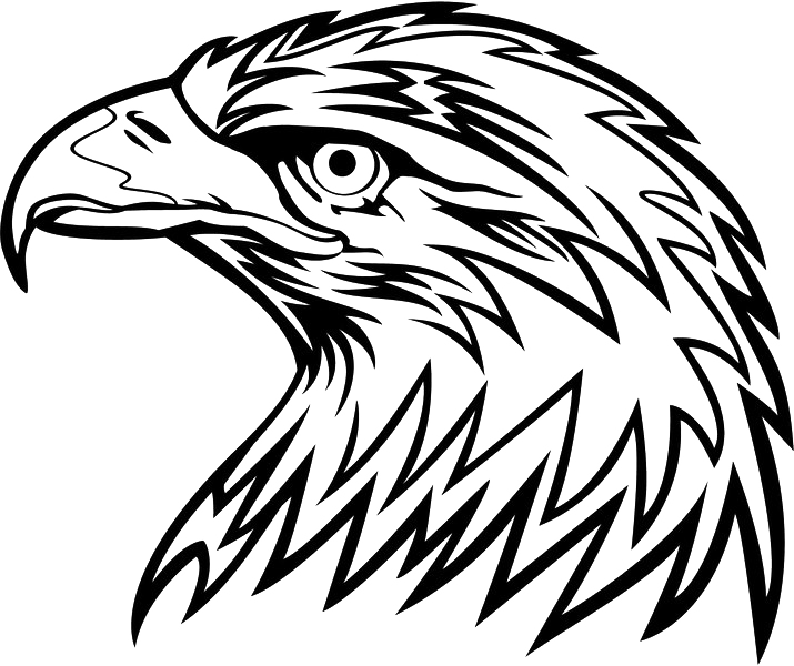 Орел голова PNG картина