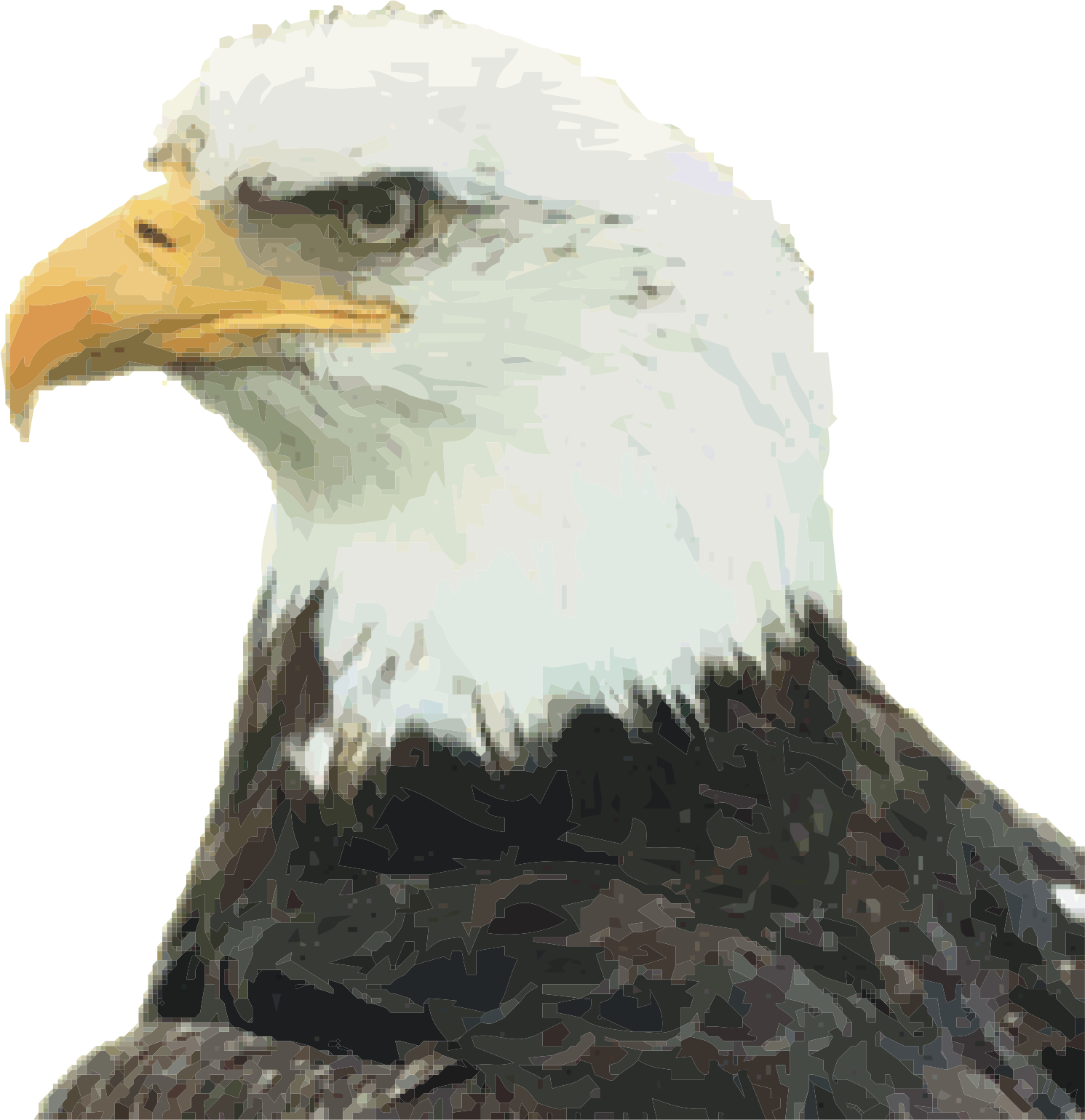 Eagle Head PNG Transparant Beeld