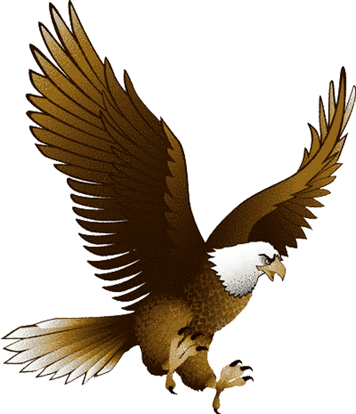 Орел PNG изображения фон