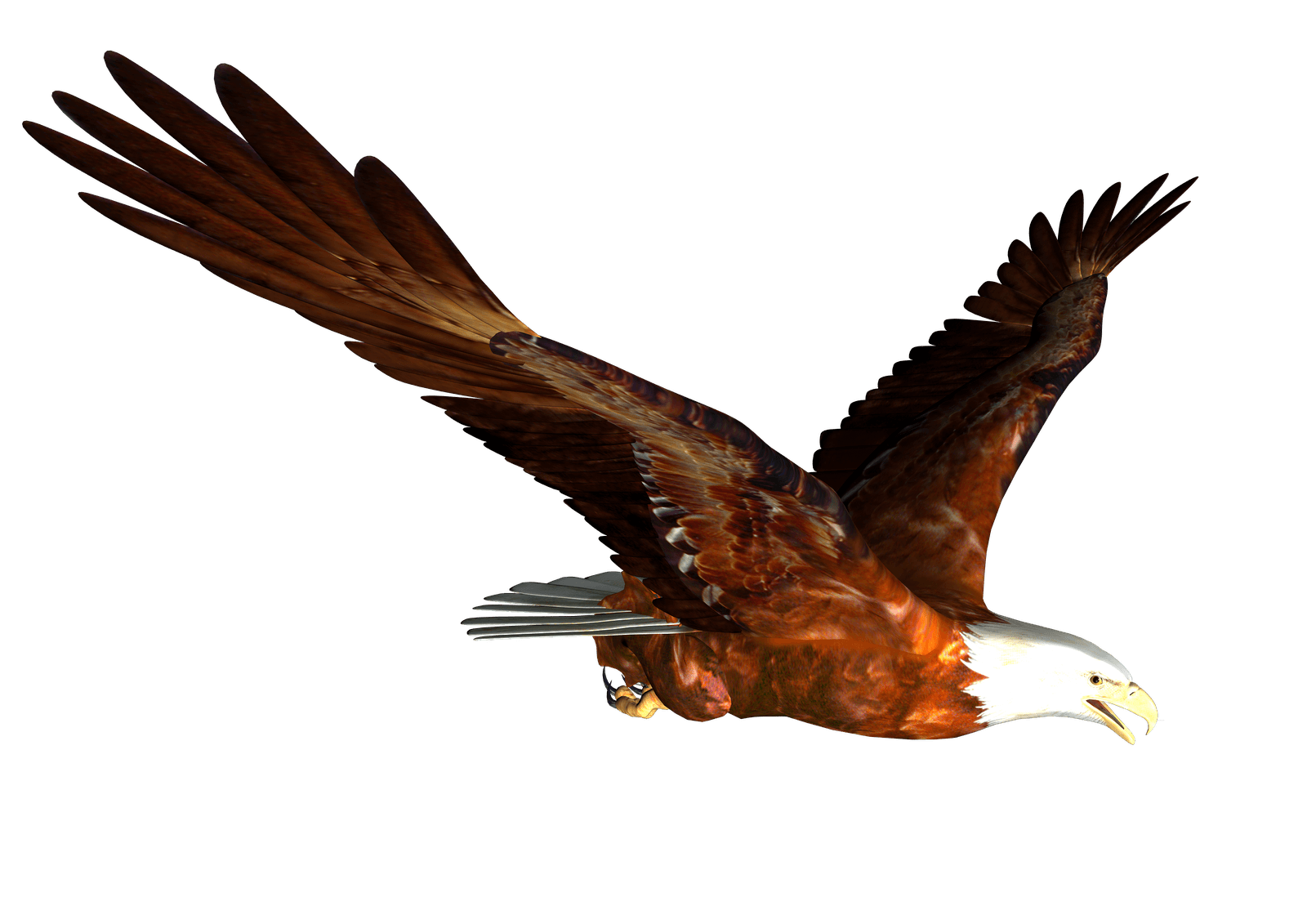 Eagle PNG-Afbeelding