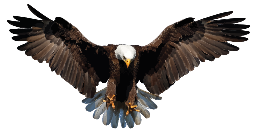 Eagle PNG Picture