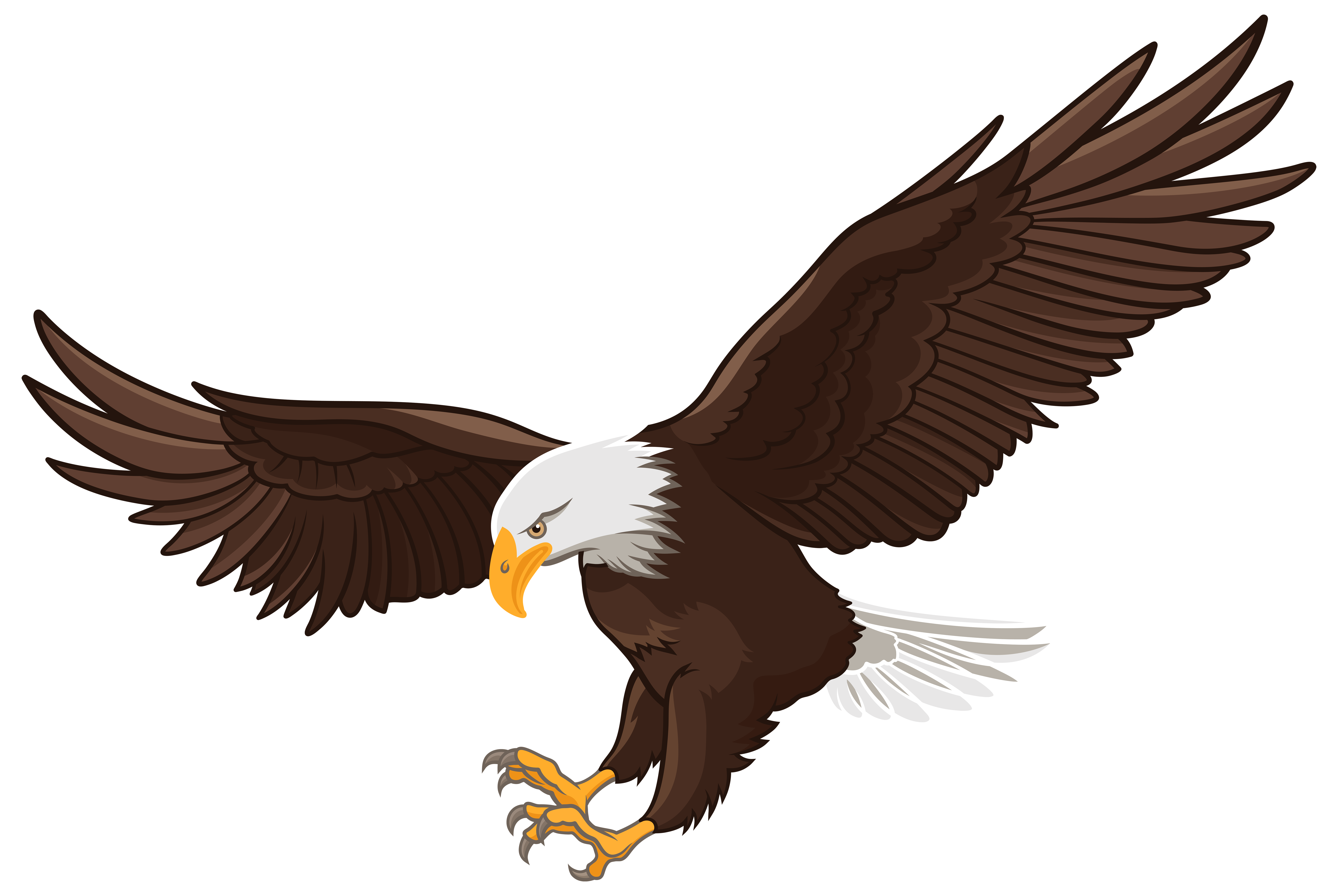 Eagle Perched PNG High-Quality Image