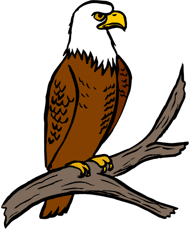 Eagle arroccato PNG Pic