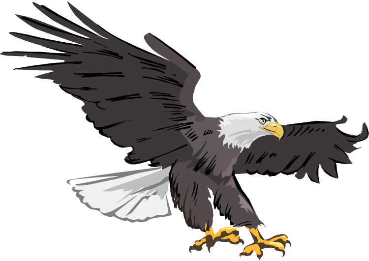 Eagle Perched Transparent Background PNG
