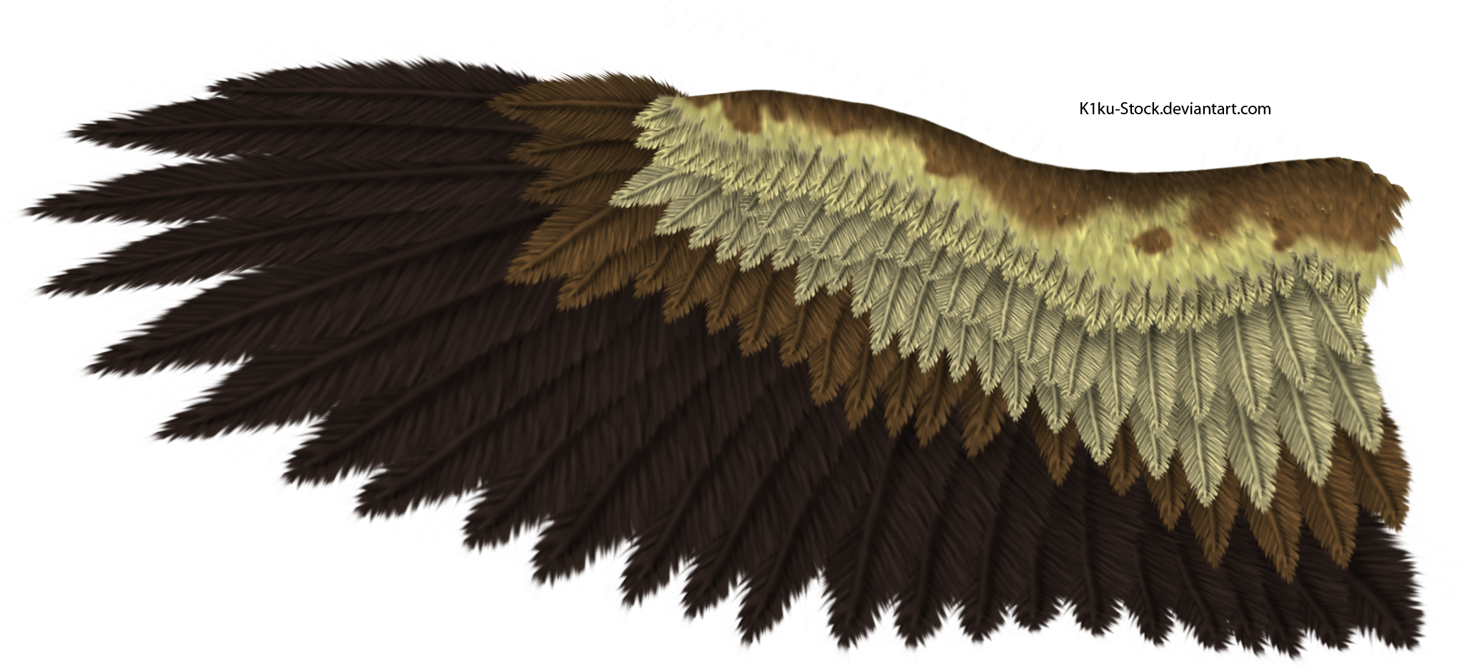 Imagen de fondo de PNG de alas de águila