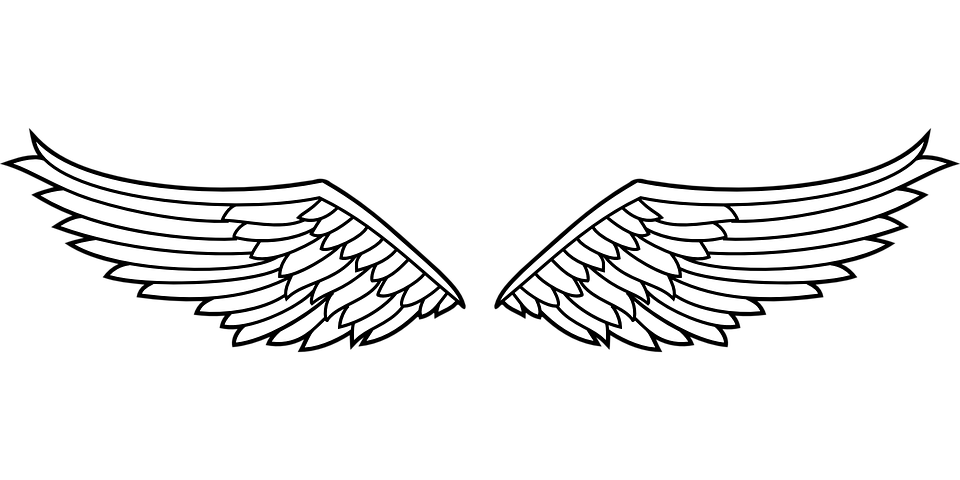Eagle Wings PNG Free Download