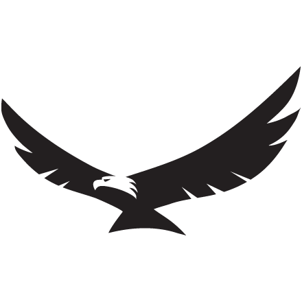 Eagle Wings PNG Imagem de Alta Qualidade