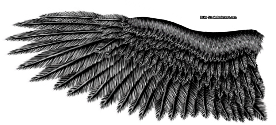 Imagen de PNG de las alas de águila