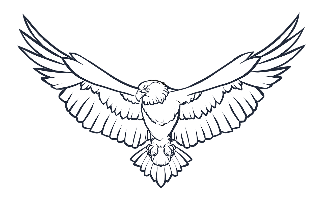 Eagle Wings PNG Foto