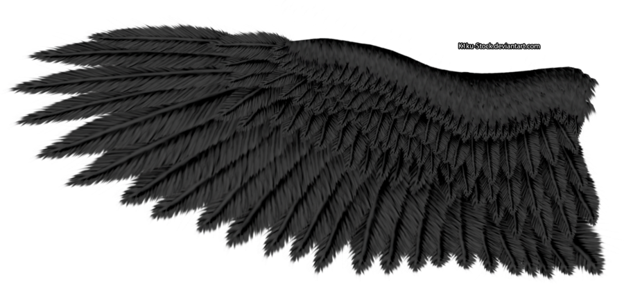 Imagem transparente das asas da águia