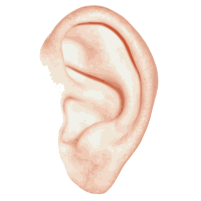 Ear Free PNG Image